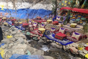 Marrakech: tour nella valle dell'Ourika con escursione, cascate e pranzo