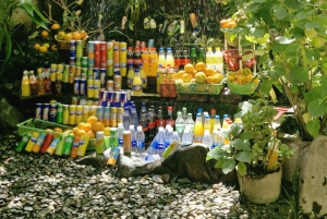 Marrakech: tour nella valle dell'Ourika con escursione, cascate e pranzo