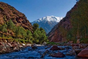 Marrakech: tour nella valle dell'Ourika con escursione, cascate e pranzo