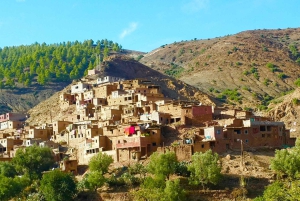 Marrakech: tour nella valle dell'Ourika con escursione, cascate e pranzo