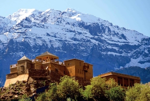 Marrakech: tour nella valle dell'Ourika con escursione, cascate e pranzo