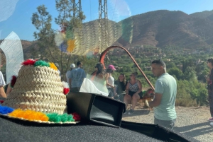 Marrakech: tour nella valle dell'Ourika con escursione, cascate e pranzo