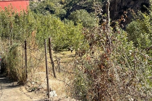 Marrakech: tour nella valle dell'Ourika con escursione, cascate e pranzo