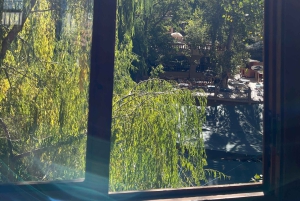 Marrakech: tour nella valle dell'Ourika con escursione, cascate e pranzo