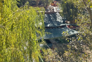 Marrakech: tour nella valle dell'Ourika con escursione, cascate e pranzo