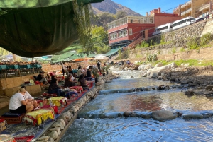 Marrakech: tour nella valle dell'Ourika con escursione, cascate e pranzo