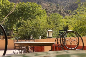 Marrakech: tour nella valle dell'Ourika con escursione, cascate e pranzo