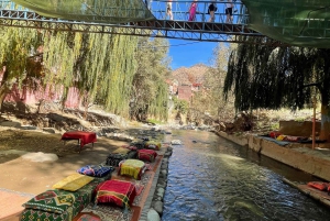 Marrakech: tour nella valle dell'Ourika con escursione, cascate e pranzo