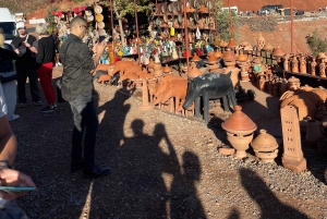 Marrakech: tour nella valle dell'Ourika con escursione, cascate e pranzo