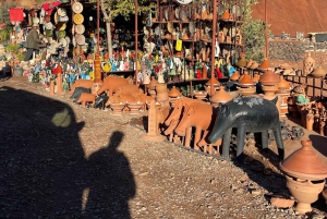 Marrakech: tour nella valle dell'Ourika con escursione, cascate e pranzo