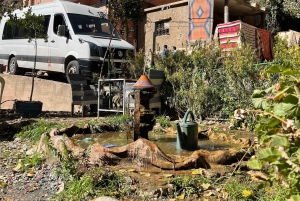 Marrakech: tour nella valle dell'Ourika con escursione, cascate e pranzo