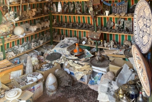 Marrakech: tour nella valle dell'Ourika con escursione, cascate e pranzo