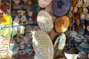 Marrakech: tour nella valle dell'Ourika con escursione, cascate e pranzo