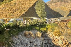 Marrakech: tour nella valle dell'Ourika con escursione, cascate e pranzo