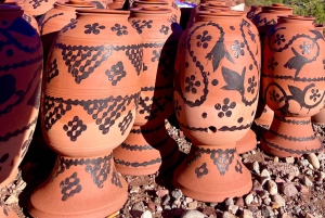 Marrakech: tour nella valle dell'Ourika con escursione, cascate e pranzo