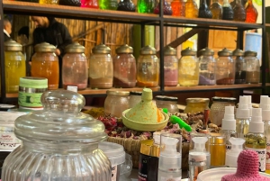 Marrakech: tour nella valle dell'Ourika con escursione, cascate e pranzo