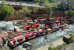 Marrakech: río Ourika, ruta de senderismo a las cascadas, guía y almuerzo