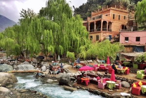 Marrakech: río Ourika, ruta de senderismo a las cascadas, guía y almuerzo