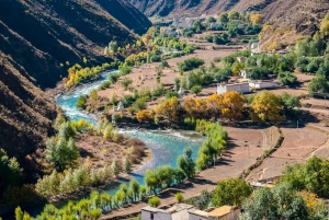 Marrakech: río Ourika, ruta de senderismo a las cascadas, guía y almuerzo