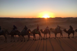Marrakech: Overnight Sahara Tour to Zagora & Ait Ben Haddou