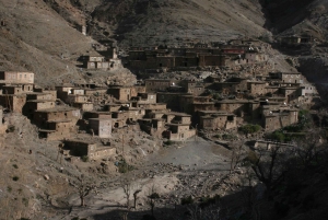 Marrakech: Overnight Sahara Tour to Zagora & Ait Ben Haddou