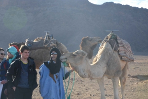 Marrakech: Overnight Sahara Tour to Zagora & Ait Ben Haddou