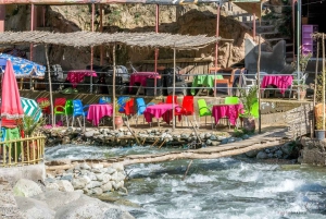 Marrakesh: Atlasvuoret, Ourika, berberikylät ja lounas