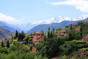 Marrakesh: Atlasvuoret, Ourika, berberikylät ja lounas