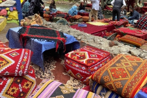 Marrakesh: Atlasvuoret, Ourika, berberikylät ja lounas