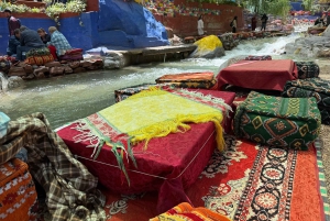 Marrakesh: Atlasvuoret, Ourika, berberikylät ja lounas
