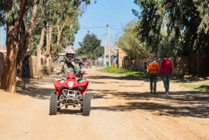 Marrakech Quad Bike Experience: Desert and Palmeraie