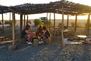 Приключение на верблюдах в пальмовой роще Марракеша