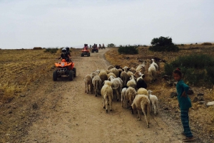 Marrakech: Quad in Jbilets Desert Tour w/ Palm Grove & Pool