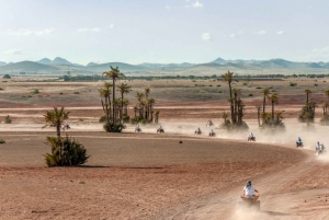 Marrakech: Quadbike in the Desert of Jbilat and Palm Grove