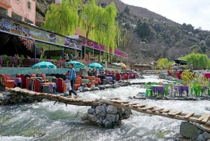 Marrakech: río Ourika, ruta de senderismo a las cascadas, guía y almuerzo