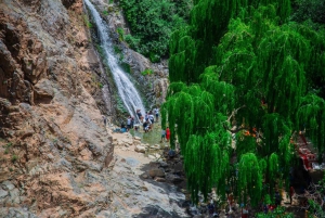 Marrakech: río Ourika, ruta de senderismo a las cascadas, guía y almuerzo