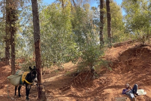 Marrakech: een dag vol natuur, pottenbakken, wandelen en zwemmen