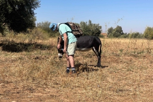 Marrakech: een dag vol natuur, pottenbakken, wandelen en zwemmen