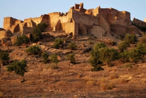 Марракеш: однодневная поездка в Тарудант с обедом