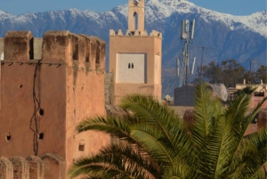 Марракеш: однодневная поездка в Тарудант с обедом