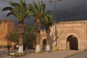 Марракеш: однодневная поездка в Тарудант с обедом