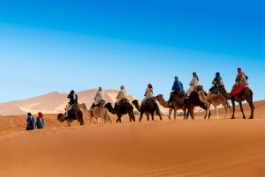 Marrakech to Agadir: 3-Day Sahara Desert Tour