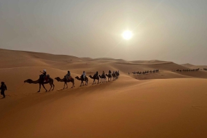 Marrakech to Agadir: 3-Day Sahara Desert Tour