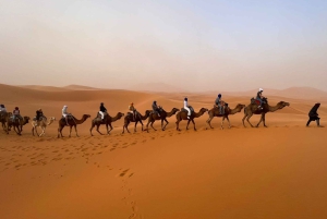 Marrakech to Agadir: 3-Day Sahara Desert Tour