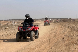 Приключение на верблюдах в пальмовой роще Марракеша