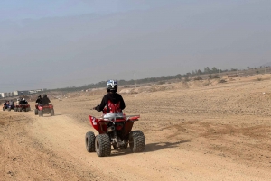 Приключение на верблюдах в пальмовой роще Марракеша