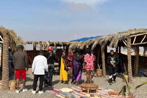 Приключение на верблюдах в пальмовой роще Марракеша