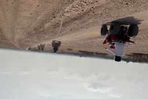 Приключение на верблюдах в пальмовой роще Марракеша