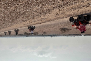 Приключение на верблюдах в пальмовой роще Марракеша