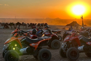 マラケシュの砂漠の村を巡るラクダ乗りアドベンチャーをお楽しみください